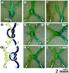 Various knots with different topologies used to mix yellow and blue dyes in cotton yarn. Figure reprinted with permission of the Royal Society of Chemistry from Safavieh et al.2