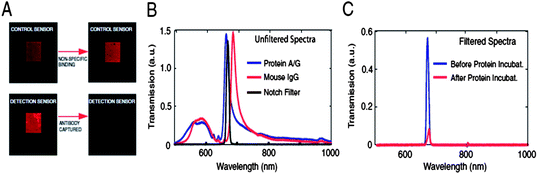 (a) Optical images of nanohole arrays functioning as control and detection sensors. The detection sensor appears visibly darker when a monolayer of biomolecules is formed on its surface. (b) Transmission spectra of a notch filter and before (protein AG) and after (mouse IgG) specific binding of mouse IgG antibodies. (c) Same spectra as in (b), but with the notch filter in place. Figure reprinted with permission from the National Academy of Sciences.4