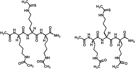 The chemical structures of the thioacetyl-lysine-containing peptidomimetic sirtuin inhibitors.