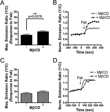 Effects of Raft Disruption on PKA Activity Stimulated by Adenylyl Cyclase Activation. Response summary (A) and representative curves (B) of Lyn-AKAR4 in the presence (■) or absence (□) of 4 mM MβCD. Response summary (C) and representative curves (D) of AKAR4-Kras in the presence (▲) or absence (△) of 4 mM MβCD. All data in bar graphs are presented as average ± SEM.