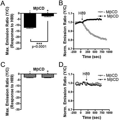 Varied Basal PKA Activity at the Plasma Membrane in HEK293 cells. Response summary (A) and representative curves (B) of Lyn-AKAR4 in the presence (■) or absence (□) of 4 mM MβCD. Response summary (C) and representative curves (D) of AKAR4-Kras in the presence (▲) or absence (△) of 4 mM MβCD. All data in bar graphs are presented as average ± SEM.