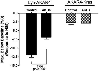 Relocalization of Endogenous PKA Affects Basal PKA Activity at the Plasma Membrane. Summary of Lyn-AKAR4 and AKAR4-Kras responses to H89 in the presence or absence of both mitoAKB-RI and mitoAKB-RII (AKBs). All data in bar graphs are presented as average ± SEM.