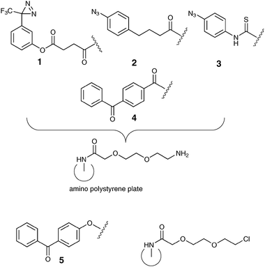 Magic Tag® photochemistries 1–5 on ethylene glycol linker derivatised polystyrene 96-well plates.