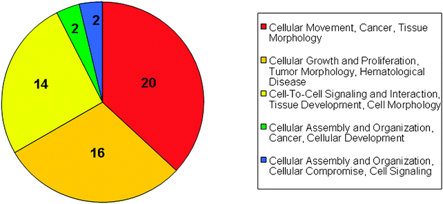 Components Of Human Blood Pie Chart