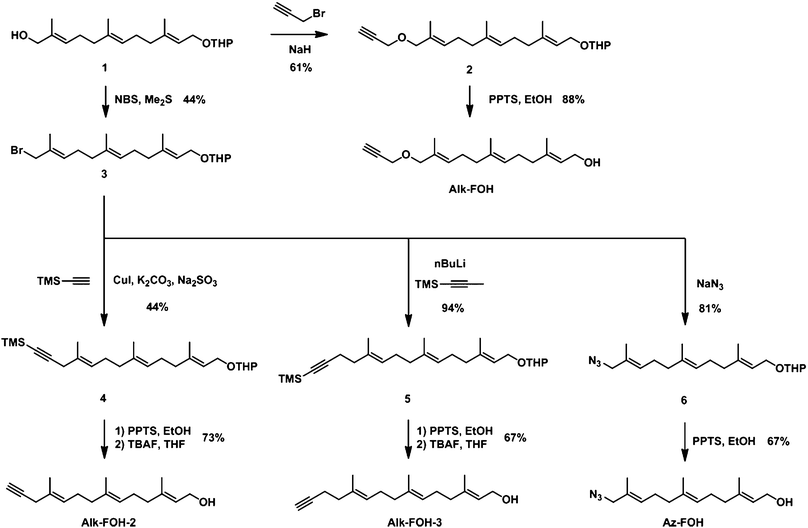 Synthesis of prenylation reporters.