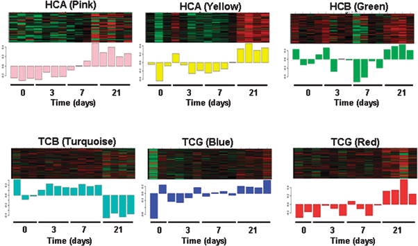 Gene expression signatures in disease gene modules across GIN infection time course in resistant sheep.