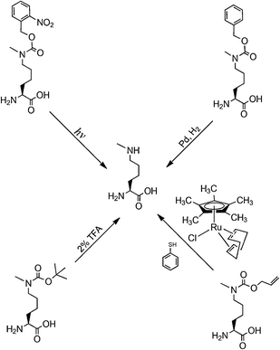 
          N
          
            ε
          -methyllysine precursors and their deprotection.