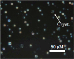 
            Photomicrograph of a sample of the equimolecular mixture of compounds I-CN and I-OMe at 500 μM in DMSO–H2O(1 : 19) solution at 37 °C.