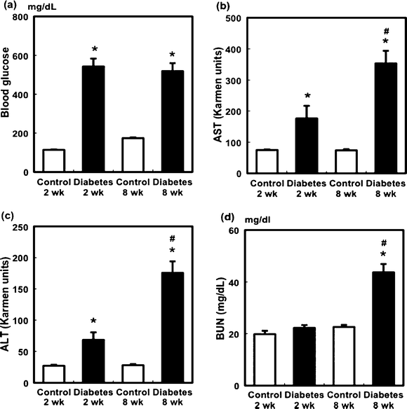 Changes in blood glucose levels (a), plasma AST (b) and ALT (c) activities, and BUN levels (d) in STZ-induced diabetic rats. Values are mean ± SEM (n = 5 or 6 in each group). *Significant difference between the control and diabetic groups (p < 0.05). #Significant difference between the 2- and 8-week groups (p < 0.05).