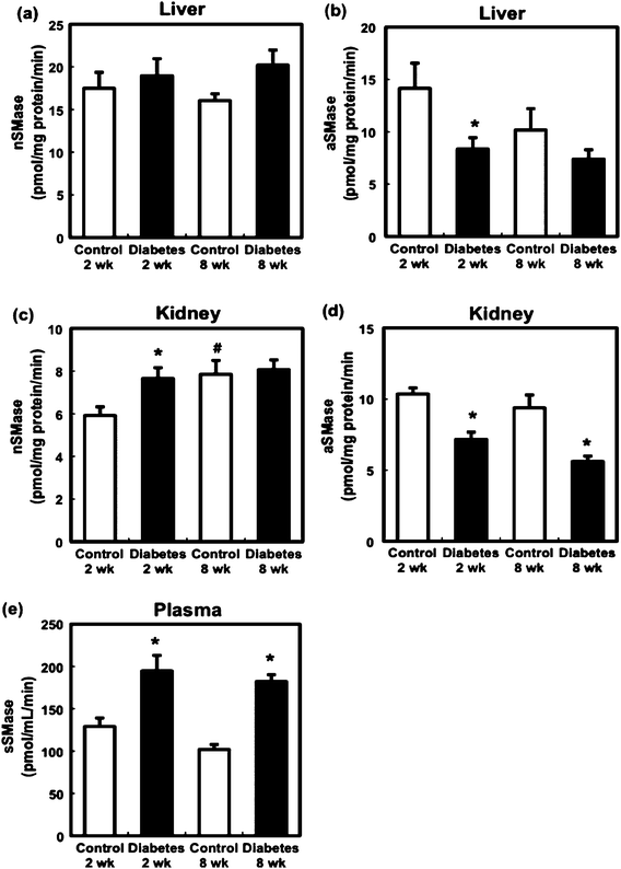 Effect of STZ administration on nSMase activity in the liver (a) and kidney (c), aSMase activity of liver (b) and kidney (d), and sSMase activity (e) in the control and diabetic rats. Values are mean ± SEM (n = 5 or 6 in each group). *Significant difference between the control and diabetic groups (p < 0.05). #Significant difference between 2- and 8-week groups (p < 0.05).
