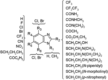 General form of the benzimidazole derivatives studied in this work. The chemical structures of the 55 compounds, including the tautomeric forms, are shown in Table S1 in the ESI.