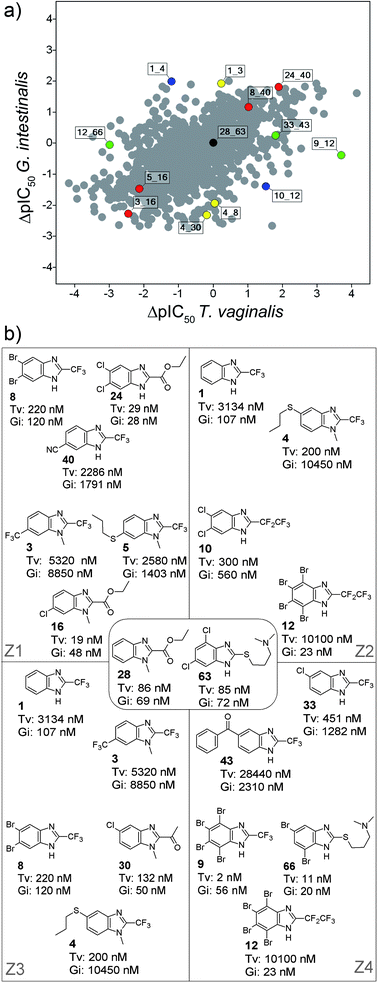 (a) DAD map for the benzimidazole derivatives tested with T. vaginalis and G. intestinalis. Selected pairs are color-coded by zone in the map (see also Fig. 3): red, Z1; blue, Z2; yellow, Z3; and green, Z4. The black data point is approximately at the center of the map. (b) Chemical structures of selected pairs in panel A along with their IC50 values for the two parasites.