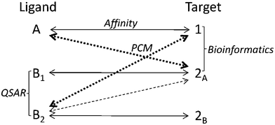Possibilities of PCM in a hypothetical data set where the affinity of three different compounds was measured on three different targets. QSAR is able to calculate an output variable based on the similarity of compounds (use the similarity between compound B1 and B2) and Bioinformatics can quantify the similarity between targets (similarity between target 1 and 2A). However PCM can use this information to extrapolate the activity of compounds on targets. (dashed double arrows) In this case a PCM prediction for the activity of B2 on 2A is likely more accurate than the prediction of the activity of B2 on target 1.