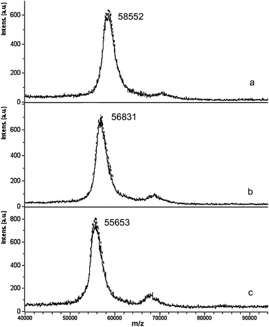 MALDI MS spectra of pre-reduced rat TrxR1 incubated with Aubipy at metal:protein ratio 10 : 1 (a) or 3 : 1 (b) for 1 h at 37 °C compared to the untreated pre-reduced protein (c).