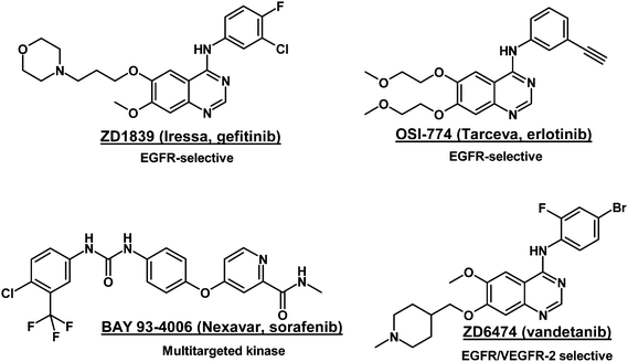 
          EGFR and/or VEGFR-2 tyrosine kinase inhibitors.