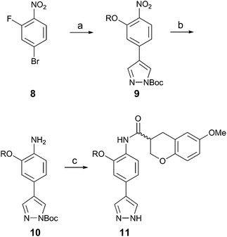 
          Reagents and conditions: (a) (i) ROH, NaH or KOt-Bu, THF, rt, overnight; (ii) 1H-pyrazole-4-boronic acid pinacol ester, Pd(PPh3)4, Na2CO3, toluene, ethanol, H2O, 1 h, 135 °C, μW; (iii) Boc2O, DMAP, dioxane, rt, overnight, 61–72% (three steps); (b) H2, 10% Pd/C, EtOAc, MeOH, rt, 20 h, 72–87%; (c)(i) 7a or 7b, HOAt, EDC, CH2Cl2, rt, overnight; (ii) TFA, CH2Cl2, rt, 2 h, 45–66% (two steps).