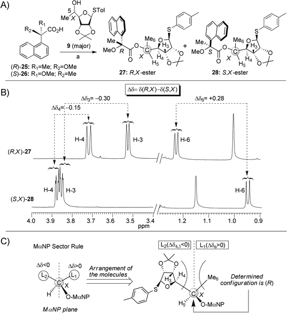 (A) Synthesis of C5-diasteromeric esters (R,X)-27 and (S,X)-28, reagents and conditions: (a) DCC, 4-DMAP, CSA, DCM, rt. (B) 1H NMR spectra of (R,X)-27 and (S,X)-28. The chemical shift differences (Δδ) between particular protons of (R,X)-27 and (S,X)-28 are highlighted. (C) Assignment of absolute configuration at the 5-carbon (denoted by X) of the major alcohol 9 by the Sector rule.