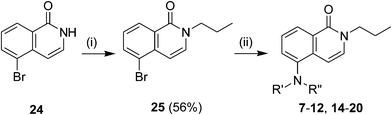Preparation of 6-aminoisoquinolones. Reagents and conditions: (i) NaH, 1-bromopropane, DMF, 0 °C to rt, 12 h. (ii) R'R′′NH, t-BuONa, BINAP, Pd2(dba)3, toluene, μW, 180 °C, 1 h, 12–98%.