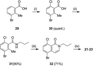 Preparation of 8-chloro-substituted isoquinolones. Reagents and conditions: (i) NCS, Pd(OAc)2, DMF, 110 °C, μW, 15 min. (ii) N-propylamine, EDCI, HOBt, DCM, 50 °C, 8 h. (iii) LDA, DMF, −78 °C to −10 °C, 12 h. (iv) RNH2, t-BuONa, BINAP, Pd2(dba)3, toluene, 110 °C, 2 h, 40–72%.