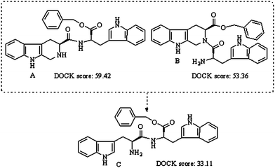 Structural correlation and DOCK scores of N-(3S-1,2,3,4-tetrahydro-β-carboline- 3-carbonyl)-l-Trp-OBzl (A) and 2-(l-Trp)-3S-1,2,3,4-tetrahydro-β-carboline-3-carbonxylic acid benzyl ester (B) with l-Trp-Trp-OBzl (C).