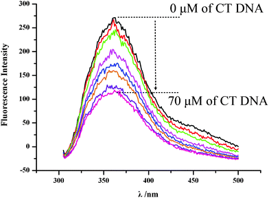 
              Fluorescence spectra of 4r in PBS (concentration 50 μM, pH = 7.0, λem = 365 nm, λex = 281 nm) explain the fluorescence quenching induced by 10 μl of the solution of a series concentrations (0, 10, 20, 30, 40, 50, 60 and 70 μM) of CT DNA in PBS.