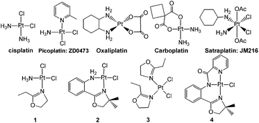 Some current clinically used Pt-based drugs and the compounds (1–4) used in this study.