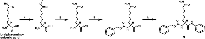 Synthesis of the l-ACAH-containing compound 3. Reagents: (i) SOCl2, MeOH; (ii) 28–30% (w/w) NH4OH; (iii) Cbz–OSu, 10% (w/v) aq. Na2CO3, 1,4-dioxane; (iv) aniline, EDC·HCl, HOBt.
