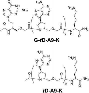 Chemical structures of G-td-A9-K and td-A9-K.