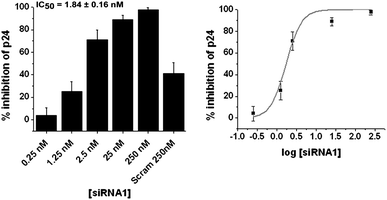 
            Dose response studies using p24 ELISA for native siRNA1 showing % inhibition over virus control at various doses. The dose titration sigmoidal plot is in the right panel. Results are a cumulative of at least three independent experiments. Error bars represent ±SD from mean. p24 ELISA was carried out with culture supernatants, 48 h post-co-transfection of pNL4-3 and varying doses of siRNA.