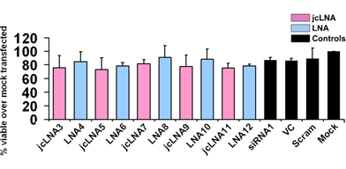 
            Cell viability assay (MTT assay). jcLNA and LNA modified siRNA1 48 h post transfection 104 cells were subjected to MTT assay in a 96 well plate. Cells having the highest dose of each siRNA (25 nM for jcLNA11/LNA12 and 250 nM for the rest) were used. Error bars represent ±SD from mean. Viability was measured over that of mock transfected cells. Results are cumulative of at least three independent experiments.