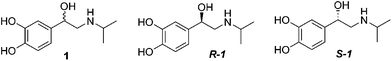 Isomers of isoproterenol.