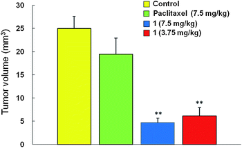 Therapeutic effects of paclitaxel-carrier conjugate (by po) on tumors in the mouse brain. Paclitaxel and paclitaxel-carrier conjugate (compound 1) were injected per oral in tumor-bearing animals. Data are expressed as the mean ± SE. ** P < 0.01.