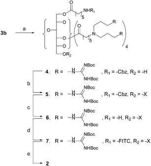 Preparation of paclitaxel-carrier conjugate 2 with FITC. Reagents and conditions: a) silica gel in hexane containing 1% TFA → silica gel in hexane containing 1% Et3N, CHCl3–CH3OH = 15 : 1, 62%; b) 2′-succinyl-paclitaxel, EDC·HCl, DMAP, CH2Cl2, rt, 30 h, 73%; c) H2 (1 atm), 10% Pd/C (10 mol %), CH3OH, rt, 20 h, 76%; d) FITC-I, Et3N, EtOH–THF (5 : 2), rt, dark, 24 h, 56%; e) HCl (g), EtOAc, rt, 24 h, 74%.