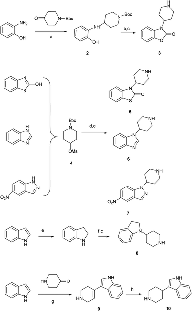 Reagents and conditions: (a) NaBH(OAc)3, DCE, RT; (b) (Cl3CO)3CO, py., THF; (c) TFA, CH2Cl2, 0 °C–RT; (d) NaH, DMF, 90 °C; (e) NaBH3CN, AcOH; (f) N-Boc-4-piperidone, NaBH(OAc)3, DCE, RT; (g) KOH, MeOH, reflux; (h) Pd-C, H2, EtOH, RT.