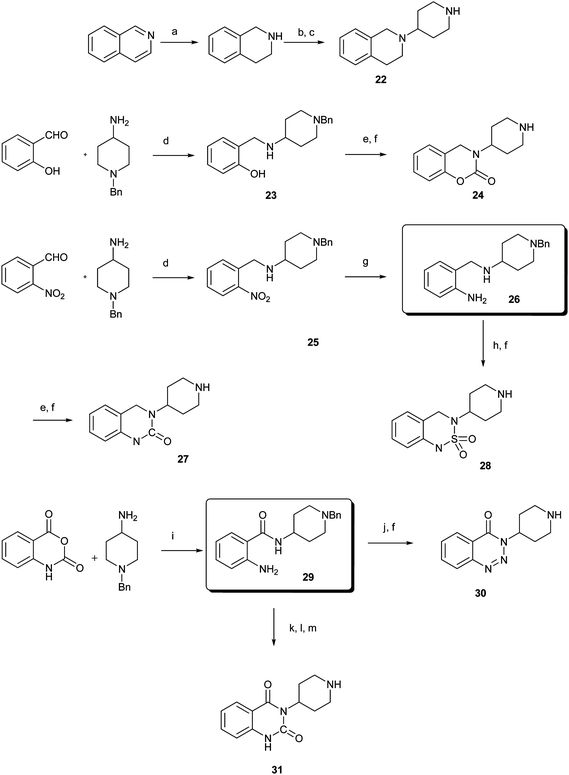 Reagents and conditions: (a) NaBH4, NiCl2, MeOH; (b) N-Boc piperidone, NaBH(OAc)3, DCE, RT; (c) TFA, CH2Cl2, 0 °C–RT; (d) NaBH4, MeOH; (e) CDl, CH3CN, reflux; (f) Pd(OH)2/C, H2, MeOH; (g) Pd/C, H2, EtOH; (h) Sulfamide, pyridine, reflux; (i) Et3N, dioxane, reflux; (j) NaNO2, concd HCl; (k) ClCO2Et, reflux; (l) KOH, EtOH, reflux; (m) 47% aq. HBr, reflux.