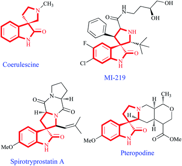 Representative bioactive natural and unnatural products having a spirooxindolo-pyrrolidine core motif.