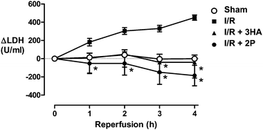 Rats were subjected to bilateral occlusion of the hindlimbs for 2 h followed by 4 h reperfusion. LDH is presented as change from levels observed before ischaemia. LDH levels were measured in sham-operated animals to determine baseline levels. Data are means ± s.e.m (n = 4–5), * P < 0.05 compared to ischaemia and reperfusion, two-way ANOVA followed by Bonferroni's multiple comparison test.