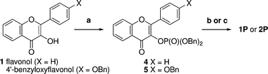 Synthesis of phosphate prodrugs. Reagents and yields: (a) (i) Pri2NP(OBn)2, 1H-tetrazole, CH2Cl2; (ii) mCPBA, 84% for 4, 58% for 5; (b) for 1P: (i) H2, Pd–C, EtOH–H2O; (ii) aq NaOH, 87%; (c) for 2P: (i) H2, Pd(OH)2, THF–H2O (ii) Et3N then Dowex 50 (Na+ form), 36%.