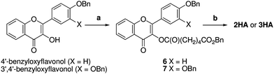 Synthesis of hemiadipate prodrugs. Reagents and conditions: (a) EDC, DMAP, CH2Cl2, 55% for 6, 88% for 7; (b) H2, Pd(OH)2, THF–EtOH–AcOH, 55% for 2HA, 56% for 3HA.