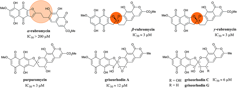 The rubromycin family and their telomerase inhibition (IC50 values from the TRAP assay).37