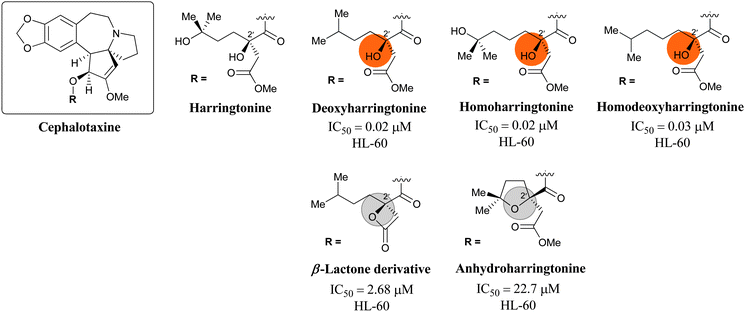 The Cephalotaxusalkaloids with IC50 values against human leukemia HL-60 cells.108