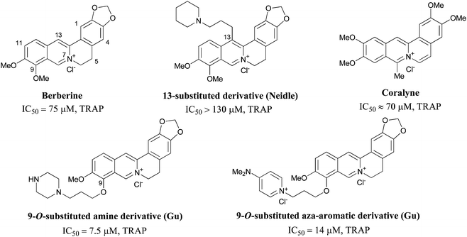 
            Berberine, 9-O- and C13-substituted derivatives of berberine and coralyne.