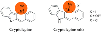 The indoloquinoline alkaloid cryptolepine.