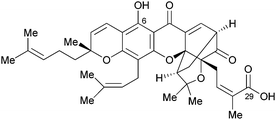 Gambogic acid.