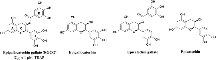 The major polyphenolic constituents of green tea.