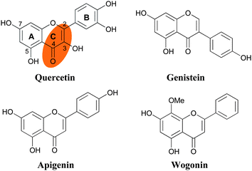 
            Flavonoids exhibiting anti-telomerase activity.