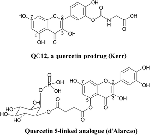 Soluble derivative of quercetin by Kerr183 and d'Alarcao.184