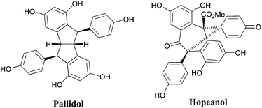 The resveratrol-based oligomers pallidol and hopeanol.