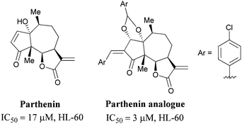 Parthenin and a derivative found to inhibit telomerase expression.