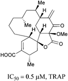 
            Chrolactomycin.